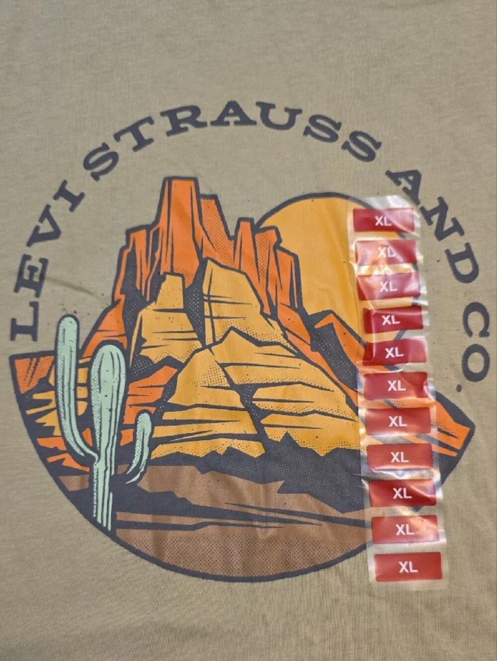 Levi's Sage Green Desert Graphic Short Sleeve Tee